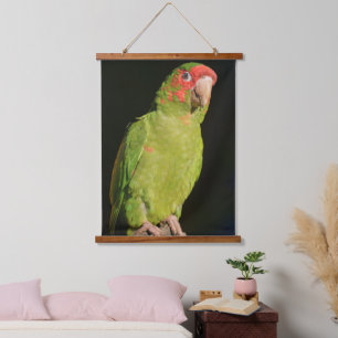Macaw with Dark Backdrop, Close-Up View Hanging Tapestry