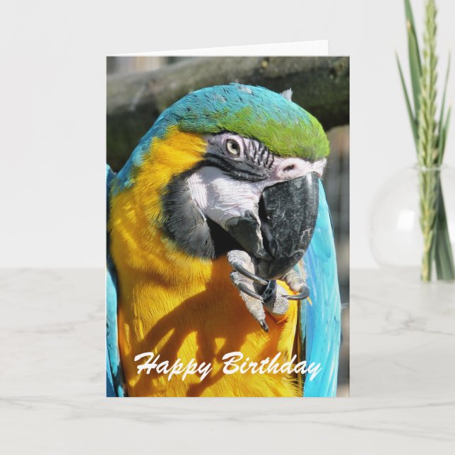 MACAWS CARD (Front)
