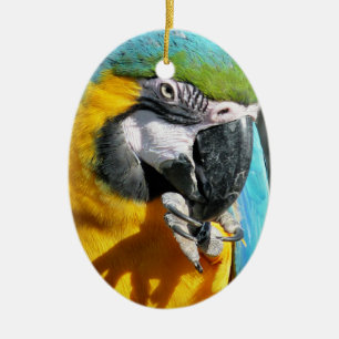 MACAWS CERAMIC ORNAMENT