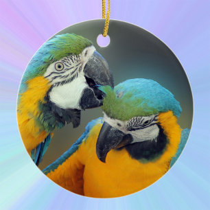 Macaws in love ceramic ornament