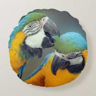 Macaws in love round pillow