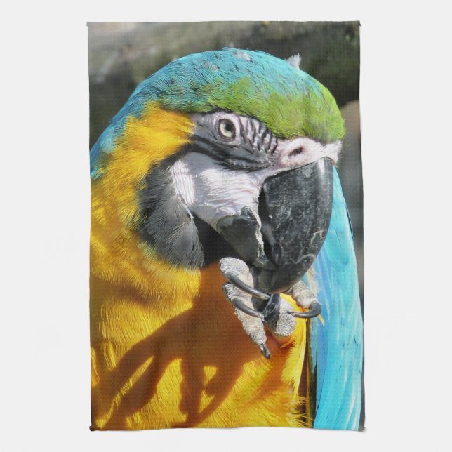 MACAWS KITCHEN TOWEL (Vertical)