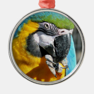 MACAWS METAL ORNAMENT