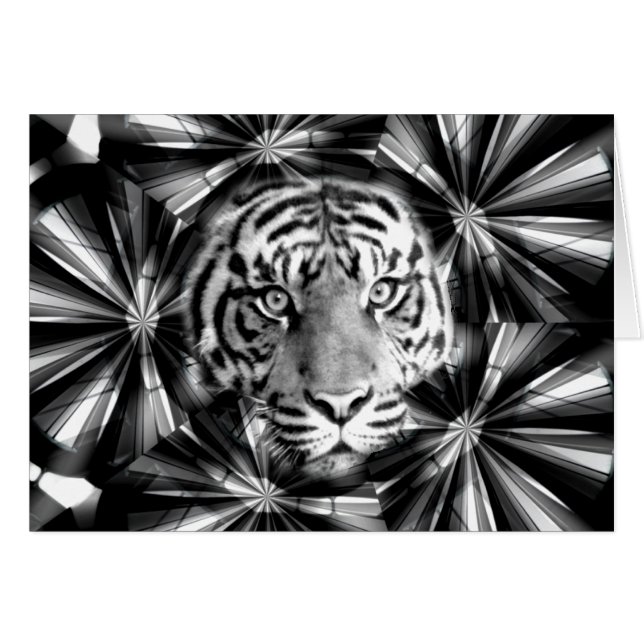 M'accepter_ (Devant horizontal)