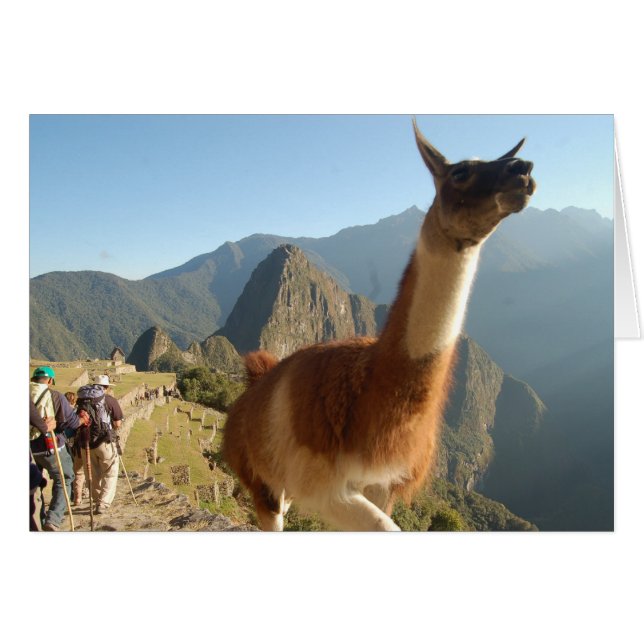 Macchu Picchu (Front Horizontal)