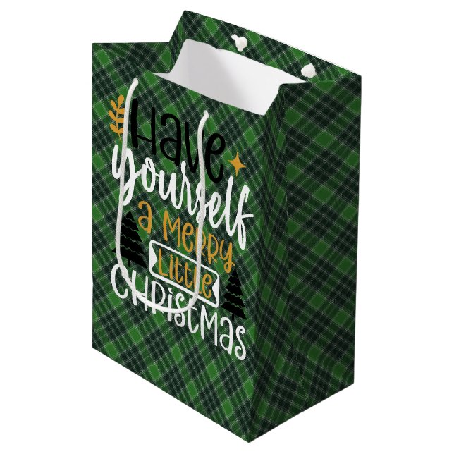 MacDonald Lord of the Isles Scottish Tartan Bag (Front Angled)