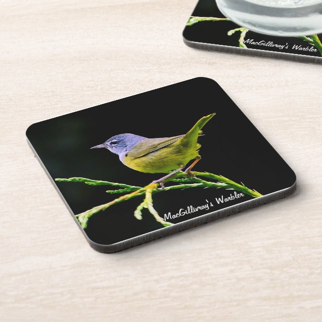 MacGillivray's Warbler Coaster (Left Side)