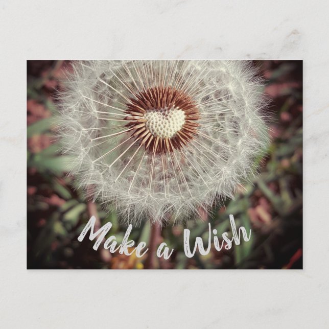 Mache einen Wunsch Postcard (Front)