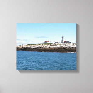 Machias Seal Island Lighthouse Canvas Print