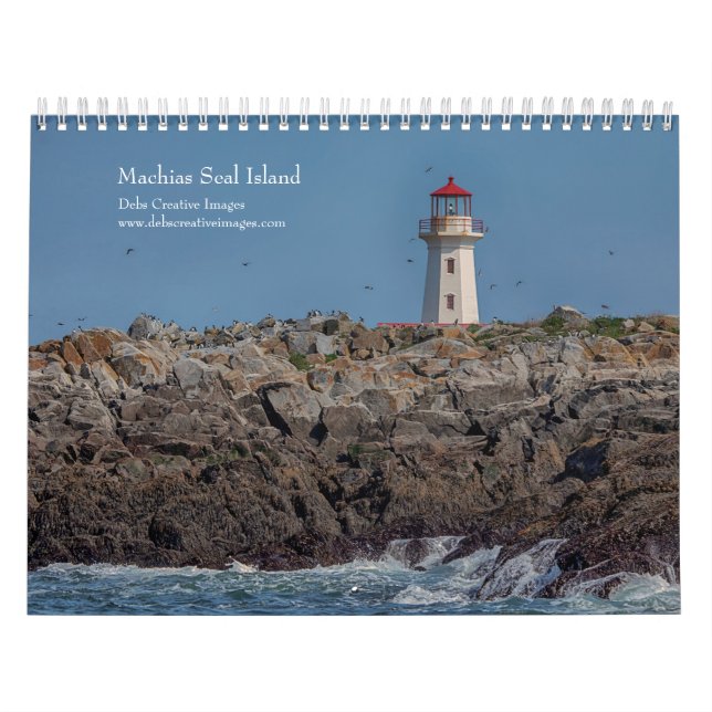 Machias Seal Island (Puffins) 2026 Calendar (Cover)