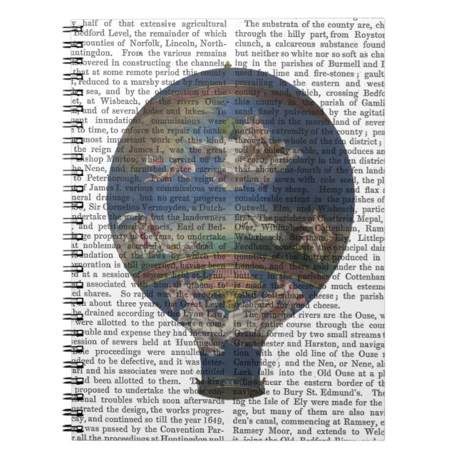 Machine Aerostatique Hot Air Balloon Notebook (Front)