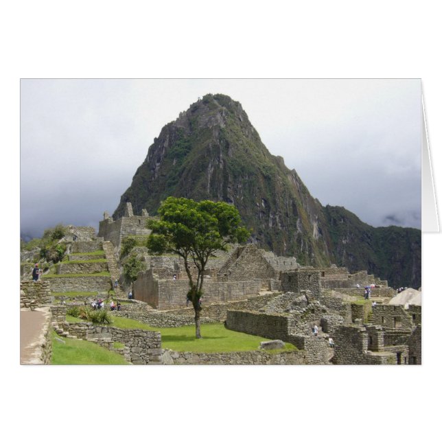 machu (Devant horizontal)