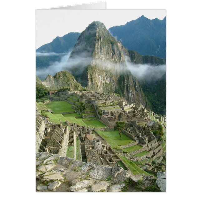 machu (Devant)