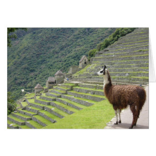 machu llama view