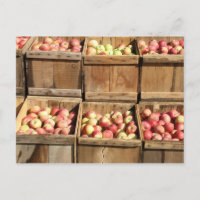 Macintosh Apples By The Crate