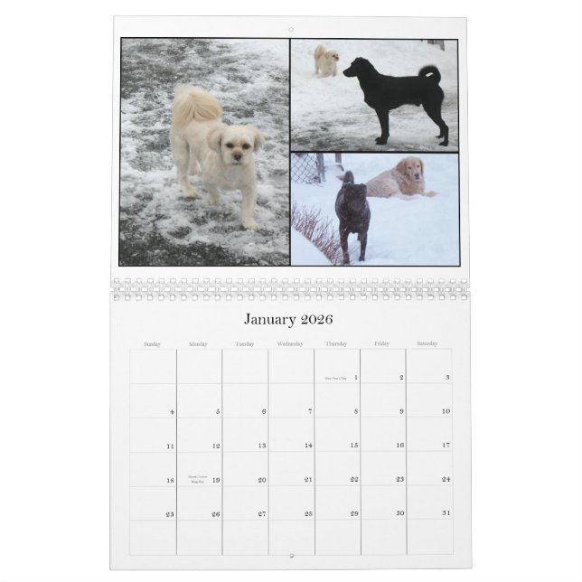 Mack and Friends 2011 Calendar (Jan 2026)