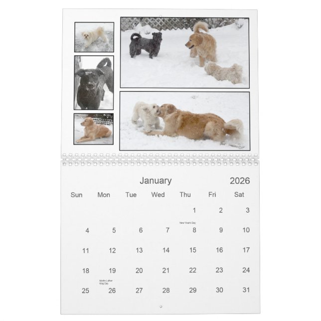 Mack & Friends Calendar 2010 (Jan 2026)