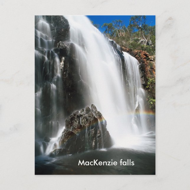 MacKenzie falls Postcard (Front)
