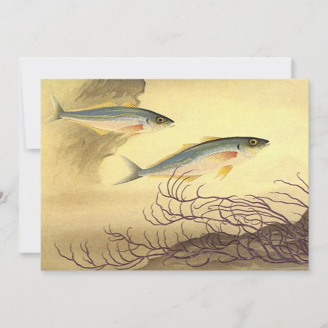 Mackerel Fish Swimming in the Ocean Invitation (Front)