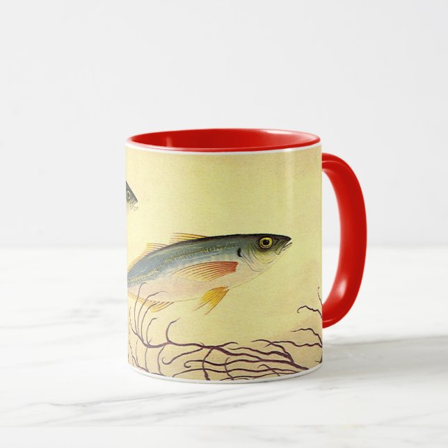 Mackerel Fish Swimming in the Ocean Mug (Front Right)