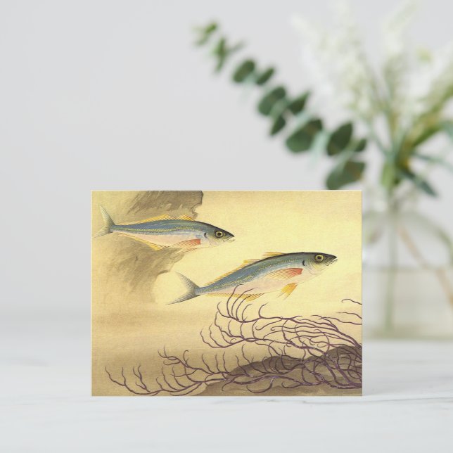 Mackerel Fish Swimming in the Ocean Postcard (Standing Front)