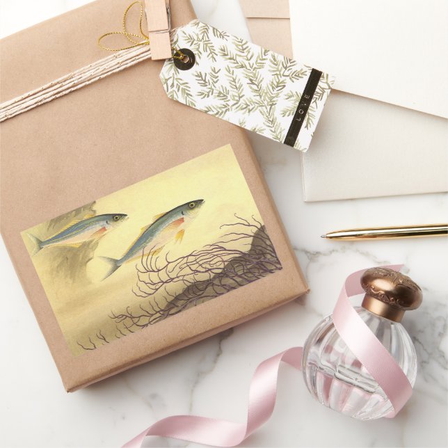 Mackerel Fish Swimming in the Ocean Sticker (Gifting)