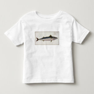 Mackerel (Scomber Scomber) plate LIV from 'Ichthyo Toddler T-shirt