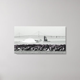 Mackinac Canvas Print