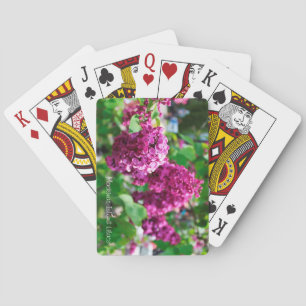Mackinac Island Lilac Playing Cards