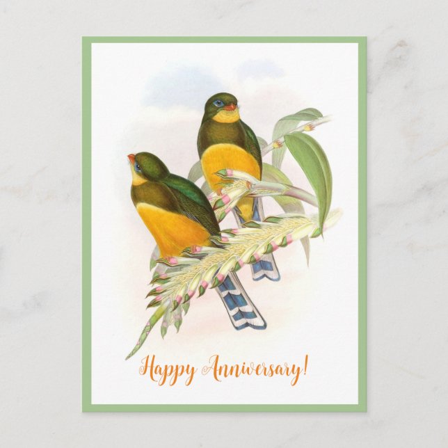 Macklot’s Trogon (1850-1883)  Postcard (Front)