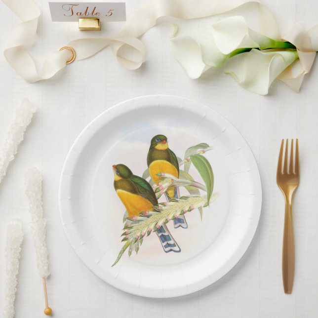 Macklot’s Trogon, Paper Plate (Wedding)