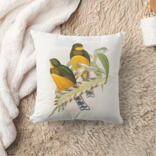 Macklot’s Trogon,   Throw Pillow