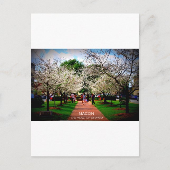 Macon, Georgia Postcard (Front)