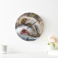 Macque Monkey, Japanese Animal Photography