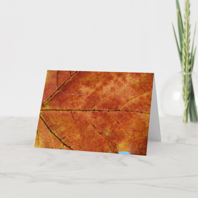 Macro Autumn Leaf Photo Card (Front)