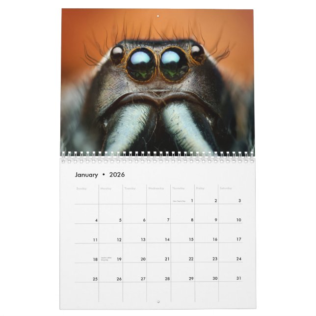 Macro-Bugs Wall Calendar (Jan 2026)