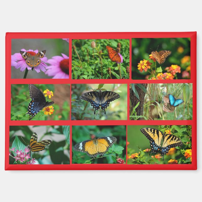 Macro Butterflies postcard Magnet (Front)