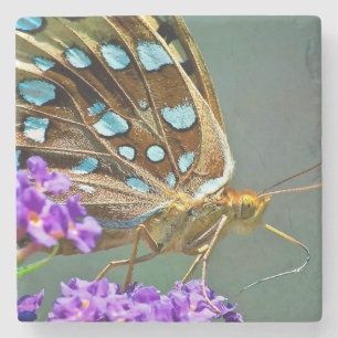 Macro butterfly stone coaster