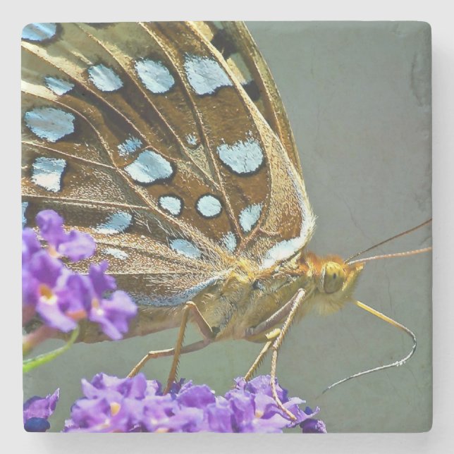 Macro butterfly stone coaster (Front)