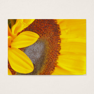 Macro carte de profil de tournesol