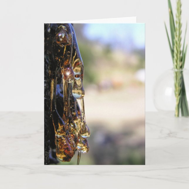 Macro : Carte Diamants Liquides Sap Arbre (Devant)