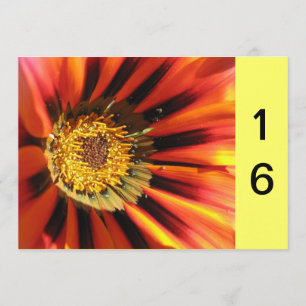 Macro flower Sweet 16 Invitation
