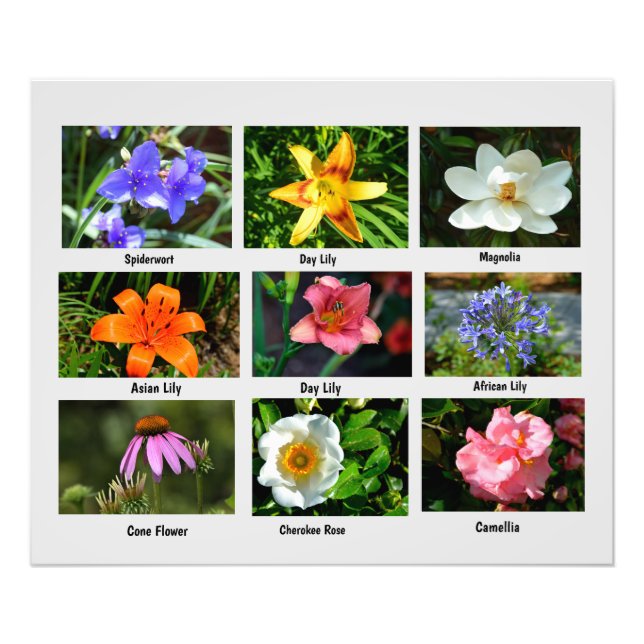 Macro flowers Photo Enlargement Print (Front)