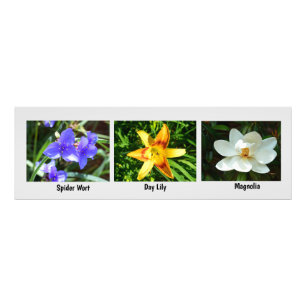 Macro flowers Photo Enlargement Print