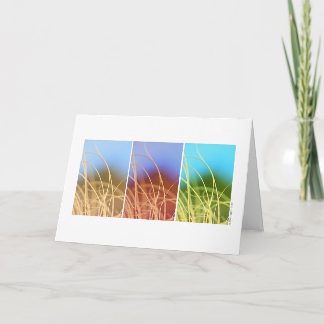 Macro Grass Trio Card (Front)