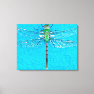 Macro Green Dragonfly on Blue Background Canvas Print