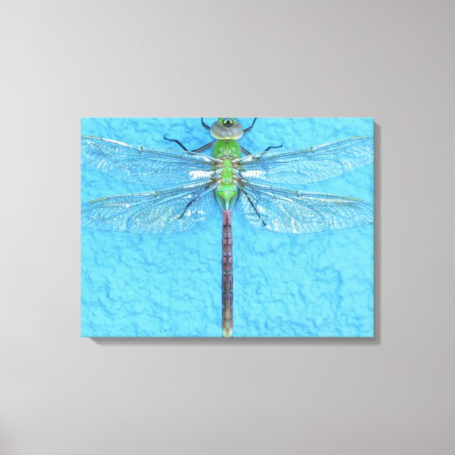 Macro Green Dragonfly on Blue Background Canvas Print (Front)