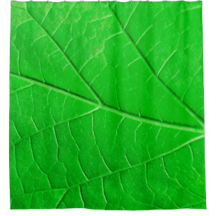 Macro green leaf ecology plant background