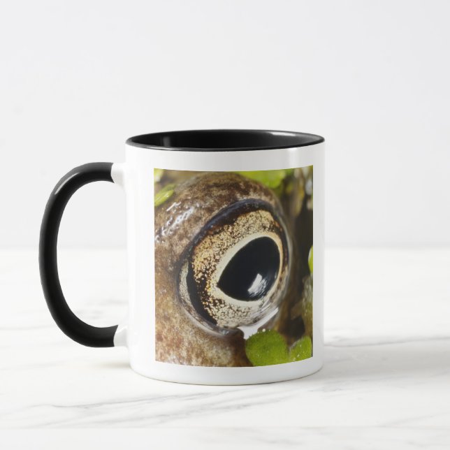 Macro; Horizontal; Colour; Colour; Nobody Mug (Left)