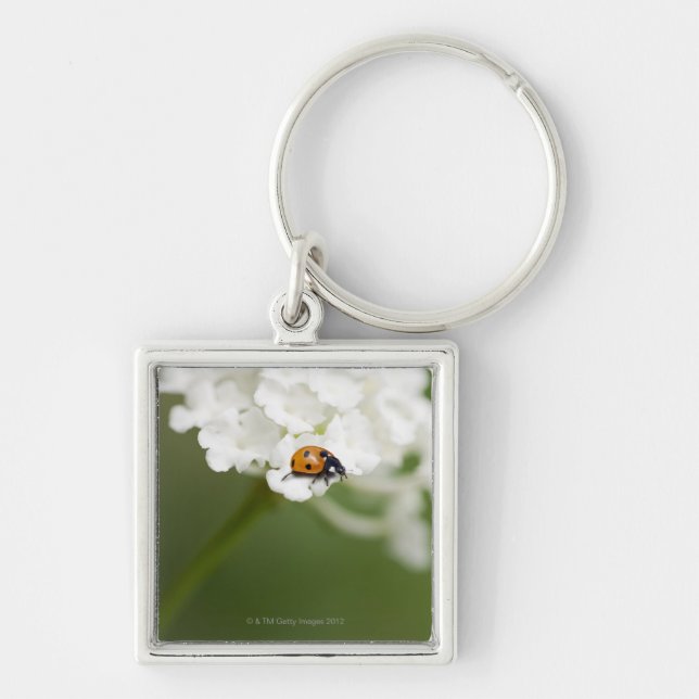 Macro image of a Ladybird on a wild flower Keychain (Front)
